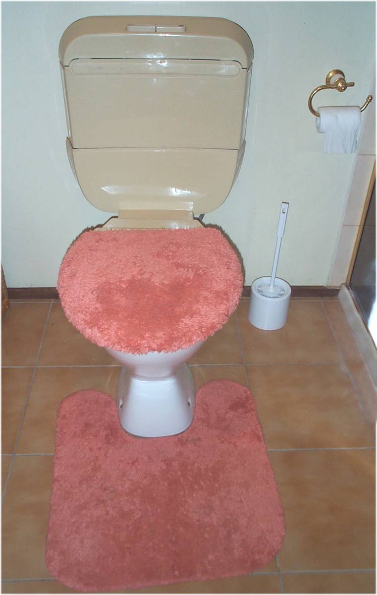 Toilet3.jpg